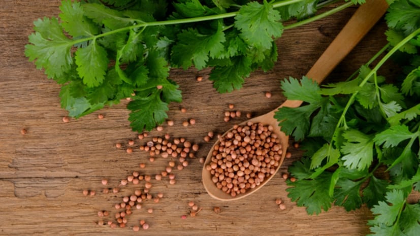 উভয় ব্যবহারই আমাদের শরীরের জন্য অত্যন্ত উপকারী। বীজ থেকে তৈরি জল খাওয়া আমাদের স্বাস্থ্যের জন্যও অত্যন্ত উপকারী। তাহলে, আসুন জেনে নেওয়া যাক ধনেবীজের জল এবং ধনেপাতার জল খেলে আমাদের শরীরের কী কী উপকার হয়। বলছেন আয়ুর্বেদিক চিকিৎসক স্মিতা শ্রীবাস্তব।