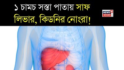 রান্নাঘরের একটি গুরুত্বপূর্ণ উপাদান ধনেপাতার সুবাস খাবারে এক অনন্য স্বাদ যোগ করে। আমরা এটি দু’টি উপায়ে ব্যবহার করি: প্রথমত, সবুজ ধনেপাতা হিসেবে, যা সবজি সাজানোর জন্য এবং চাটনির স্বাদ বাড়ানোর জন্য ব্যবহৃত হয়। দ্বিতীয়ত, ধনেদানা সবজিতে মশলা হিসেবেও ব্যবহৃত হয়। 