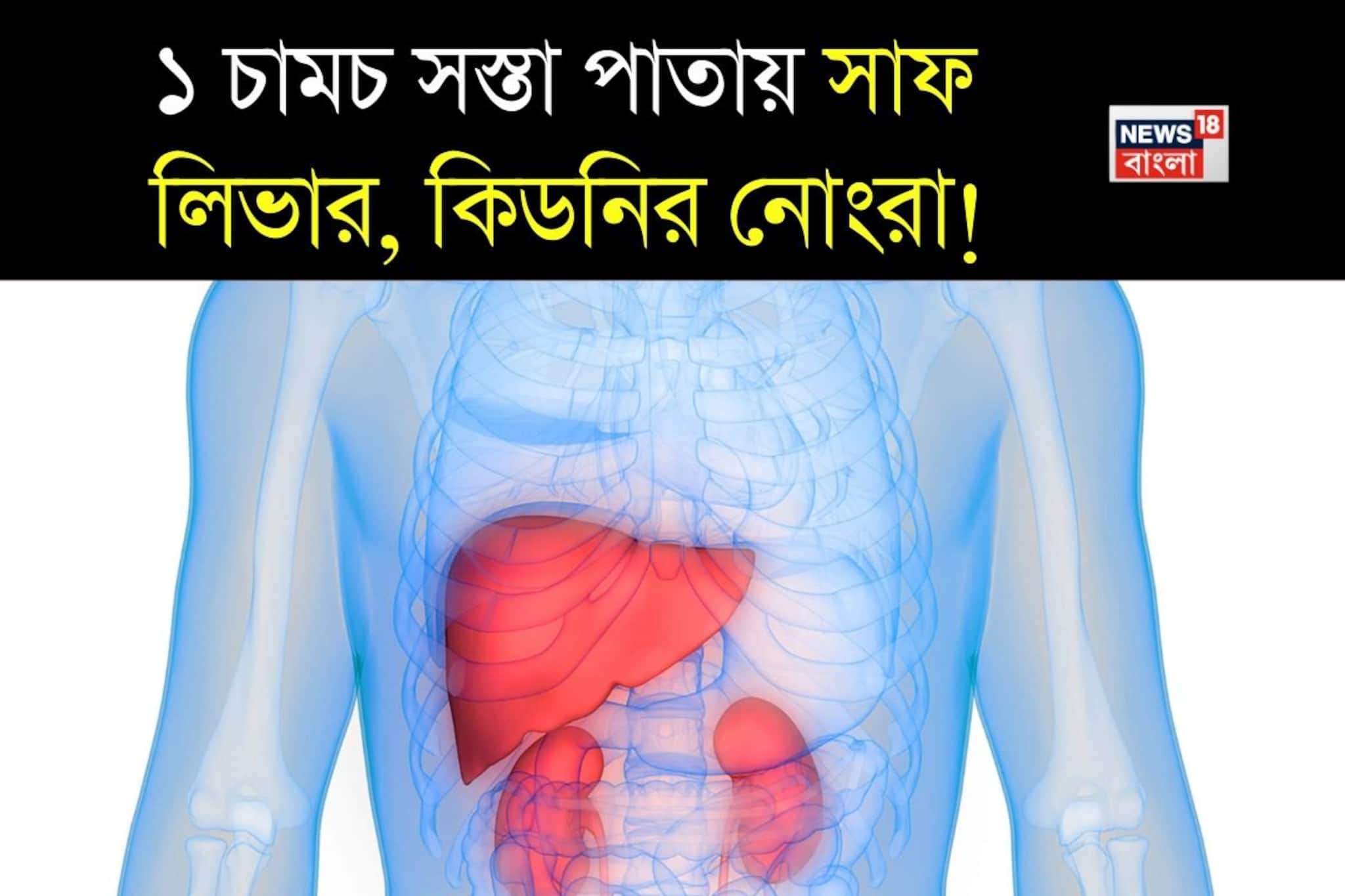 ১ চামচ ধনেপাতায় সাফ লিভার, কিডনির নোংরা! থাইরয়েডের ব্রহ্মাস্ত্র! ধরা যাবে না বয়স! ১ চামচ ধনেপাতায় সাফ লিভার, কিডনির নোংরা! থাইরয়েডের ব্রহ্মাস্ত্র! ধরা যাবে না বয়স!