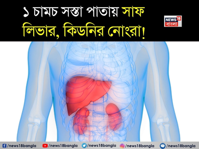 রান্নাঘরের একটি গুরুত্বপূর্ণ উপাদান ধনেপাতার সুবাস খাবারে এক অনন্য স্বাদ যোগ করে। আমরা এটি দু’টি উপায়ে ব্যবহার করি: প্রথমত, সবুজ ধনেপাতা হিসেবে, যা সবজি সাজানোর জন্য এবং চাটনির স্বাদ বাড়ানোর জন্য ব্যবহৃত হয়। দ্বিতীয়ত, ধনেদানা সবজিতে মশলা হিসেবেও ব্যবহৃত হয়। রান্নাঘরের একটি গুরুত্বপূর্ণ উপাদান ধনেপাতার সুবাস খাবারে এক অনন্য স্বাদ যোগ করে। আমরা এটি দু’টি উপায়ে ব্যবহার করি: প্রথমত, সবুজ ধনেপাতা হিসেবে, যা সবজি সাজানোর জন্য এবং চাটনির স্বাদ বাড়ানোর জন্য ব্যবহৃত হয়। দ্বিতীয়ত, ধনেদানা সবজিতে মশলা হিসেবেও ব্যবহৃত হয়।