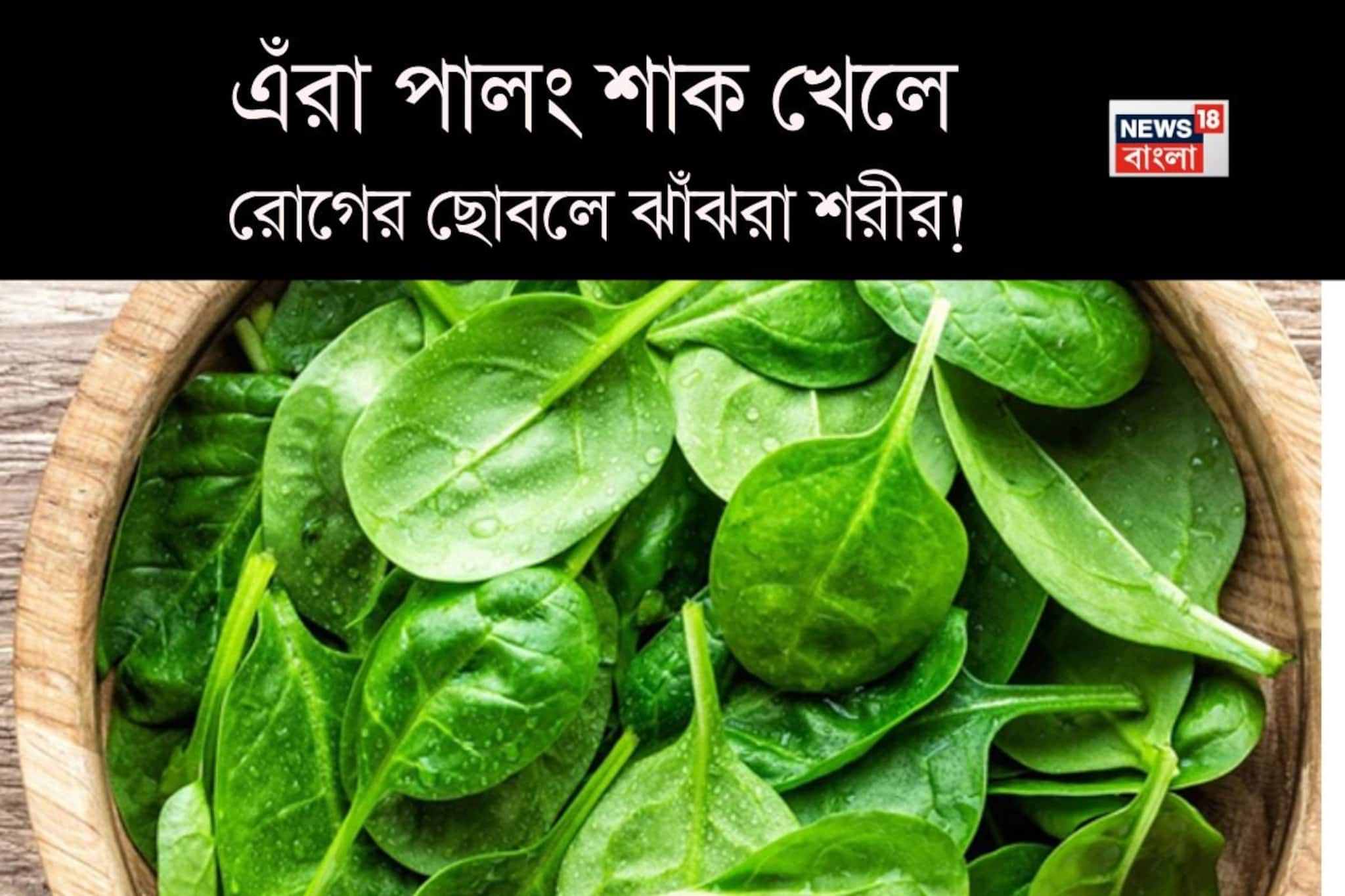কিডনির পাথর, থাইরয়েড-সহ কিছু রোগে পালং শাক দাঁতে কাটলেই চরম বিপদ! রোগে ঝাঁঝরা হবে শরীর! কিডনির পাথর, থাইরয়েড-সহ কিছু রোগে পালং শাক দাঁতে কাটলেই চরম বিপদ! রোগে ঝাঁঝরা হবে শরীর!