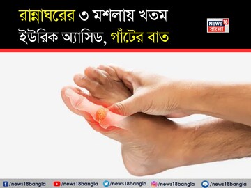 মেথি, জোয়ান, হলুদ...সঠিক পরিমাণে বিশেষ ভাবে খেলেই জব্দ ইউরিক অ্যাসিড! গাঁটের ব্যথাও শেষ মেথি, জোয়ান, হলুদ...সঠিক পরিমাণে বিশেষ ভাবে খেলেই জব্দ ইউরিক অ্যাসিড! গাঁটের ব্যথাও শেষ