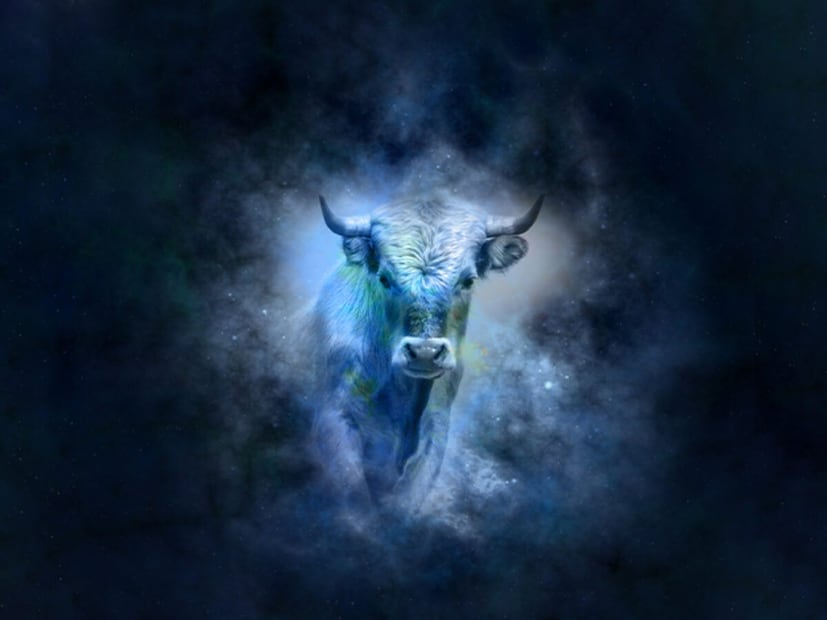 বৃষ রাশির জাতক জাতিকারা উন্নতি, সাফল্য এবং নতুন নতুন সুযোগের সম্মুখীন হতে পারেন, যেমন একটি নতুন কোর্স গ্রহণ, একটি দুঃসাহসিক ভ্রমণ, অথবা প্রভাবশালী ব্যক্তিদের সঙ্গে দেখা হতে পারে।