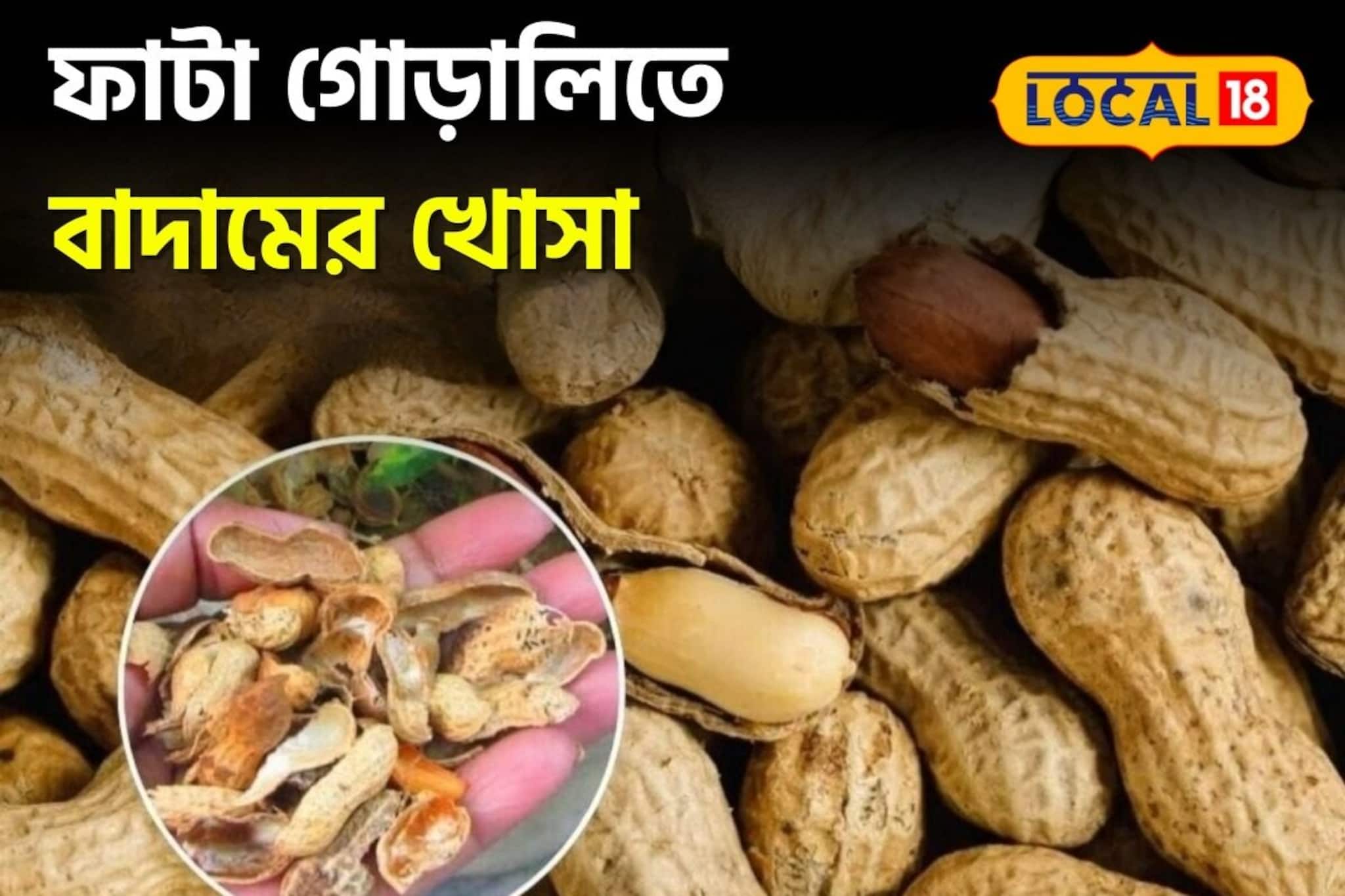 রান্নাঘরেই লুকিয়ে বিউটির সিক্রেট! বাদামের খোসা দেয় দারুণ কাজ...মোলায়েম হয় গোড়ালি