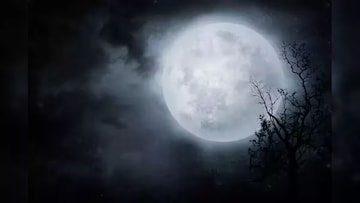 বছরের শেষ পৌষ অমাবস্যায় বিরল যোগ...! সন্ধেয় গোপনে করুন এই কাজ, কাটবে কুনজর, রাহুর দোষ বছরের শেষ পৌষ অমাবস্যায় বিরল যোগ...! সন্ধেয় গোপনে করুন এই কাজ, কাটবে কুনজর, রাহুর দোষ