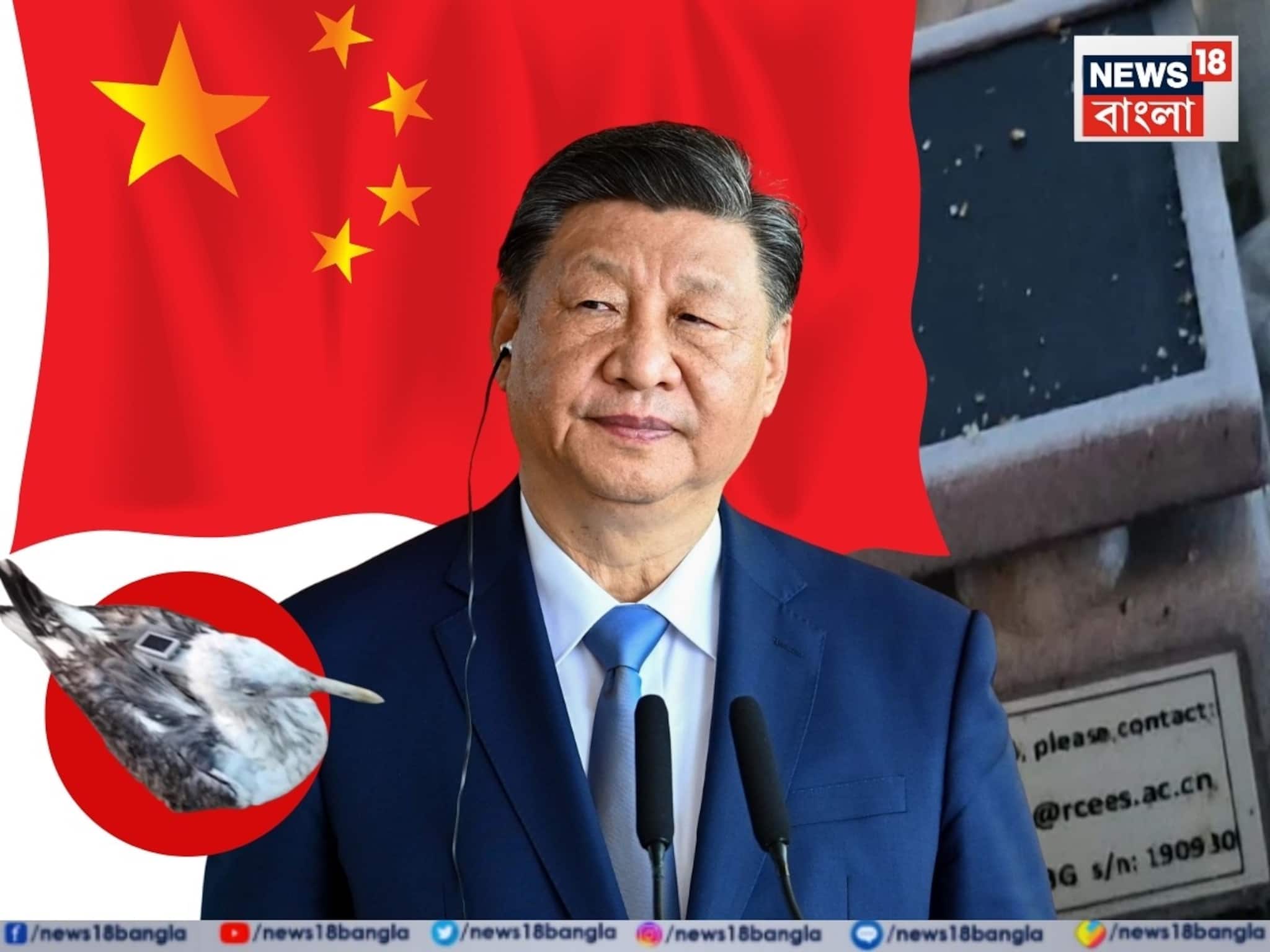পরিযায়ী পাখির গায়ে চিনের GPS ট্র্যাকার! নৌসেনার ঘাঁটির কাছে অদ্ভুত ঘটনা, শুরু তদন্ত পরিযায়ী পাখির গায়ে চিনের GPS ট্র্যাকার! নৌসেনার ঘাঁটির কাছে অদ্ভুত ঘটনা, শুরু তদন্ত