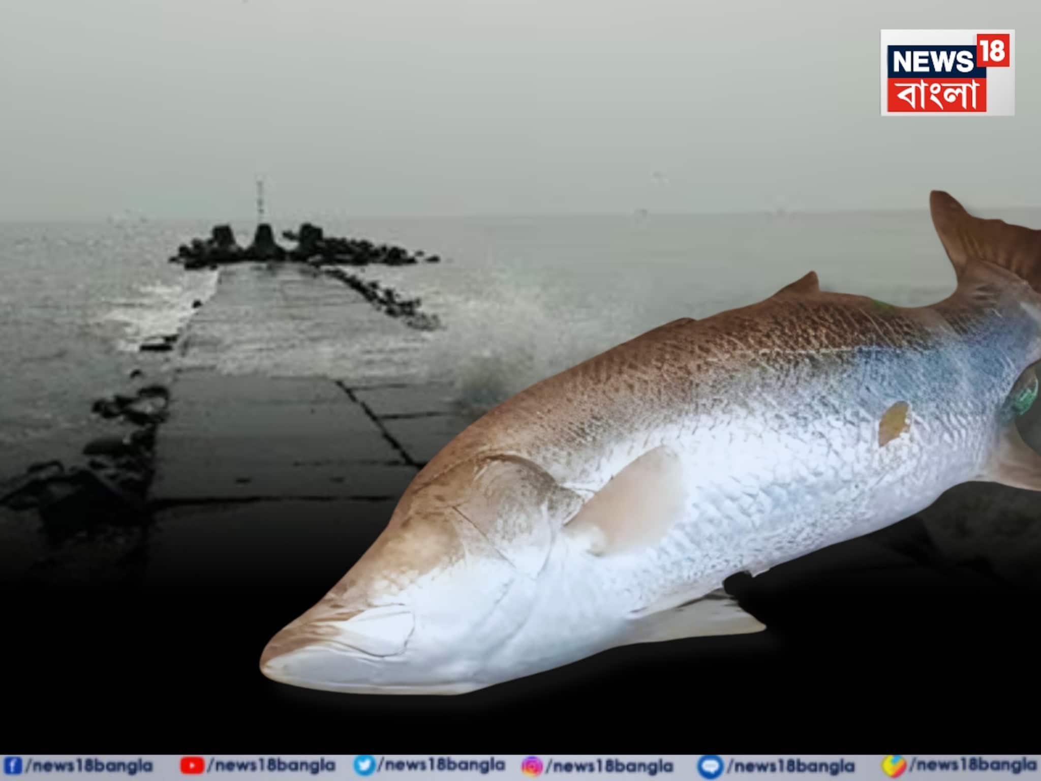 দিঘার মোহনায় ও কী! চক্ষু ছানাবড়া... ২২ কেজি ওজনের বিশাল ভেটকি দেখলে চমকে যাবেন দিঘার মোহনায় ও কী! চক্ষু ছানাবড়া... ২২ কেজি ওজনের বিশাল ভেটকি দেখলে চমকে যাবেন