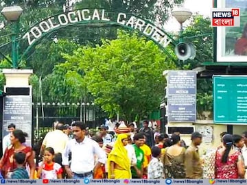 আলিপুর চিড়িয়াখানায় ফের বাঘিনীর মৃত্যু আলিপুর চিড়িয়াখানায় ফের বাঘিনীর মৃত্যু