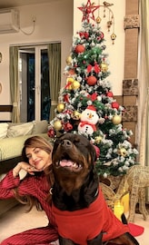 কেউ সন্তানকে নিয়ে ঘরোয়া বড়দিনে, কেউ মেতে উঠলেন পিকনিকে! কেমন কাটল তারকাদের ক্রিসমাস? কেউ সন্তানকে নিয়ে ঘরোয়া বড়দিনে, কেউ মেতে উঠলেন পিকনিকে! কেমন কাটল তারকাদের ক্রিসমাস?