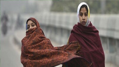 West Bengal Shivers: Coldest Day of Season Hits, Cold Wave to Continue