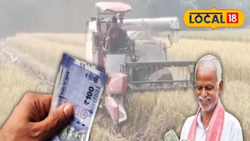 সুন্দরবনে