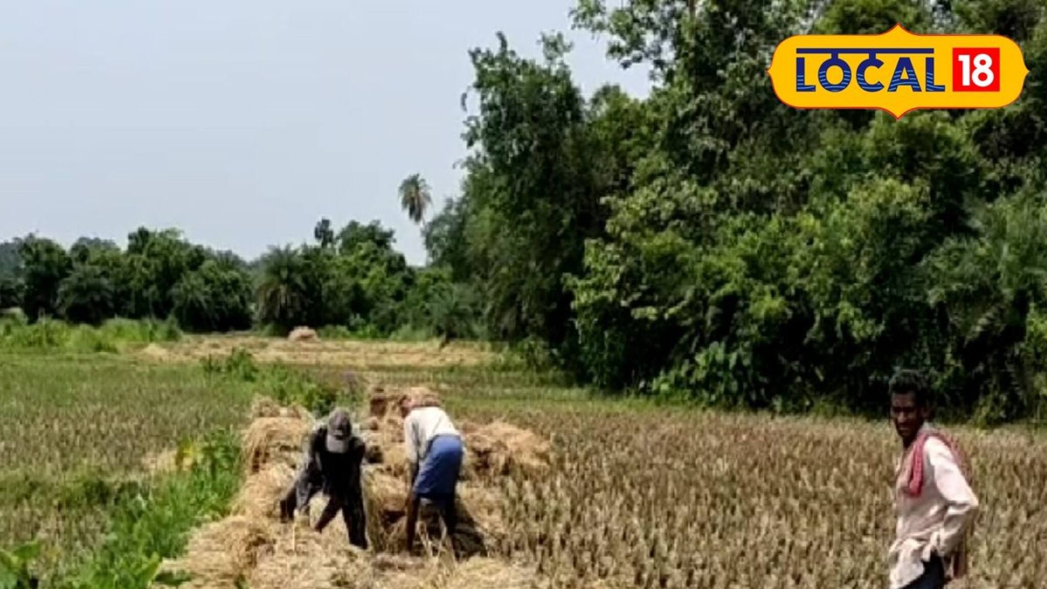 কৃষকদের জন্য সুখবর! খানাকুলে বোরো চাষ নিয়ে আর ভোগান্তি নয়, বড় পদক্ষেপ প্রশাসনের