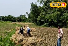 Agriculture News: কৃষকদের জন্য সুখবর! খানাকুলে বোরো চাষ নিয়ে আর ভোগান্তি নয়, বড় পদক্ষেপ প্রশাসনের