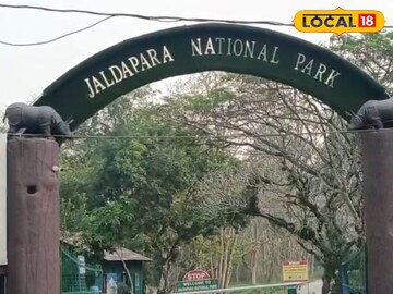 জলদাপাড়া