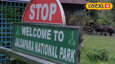 জলদাপাড়ার প্রবেশ গেট