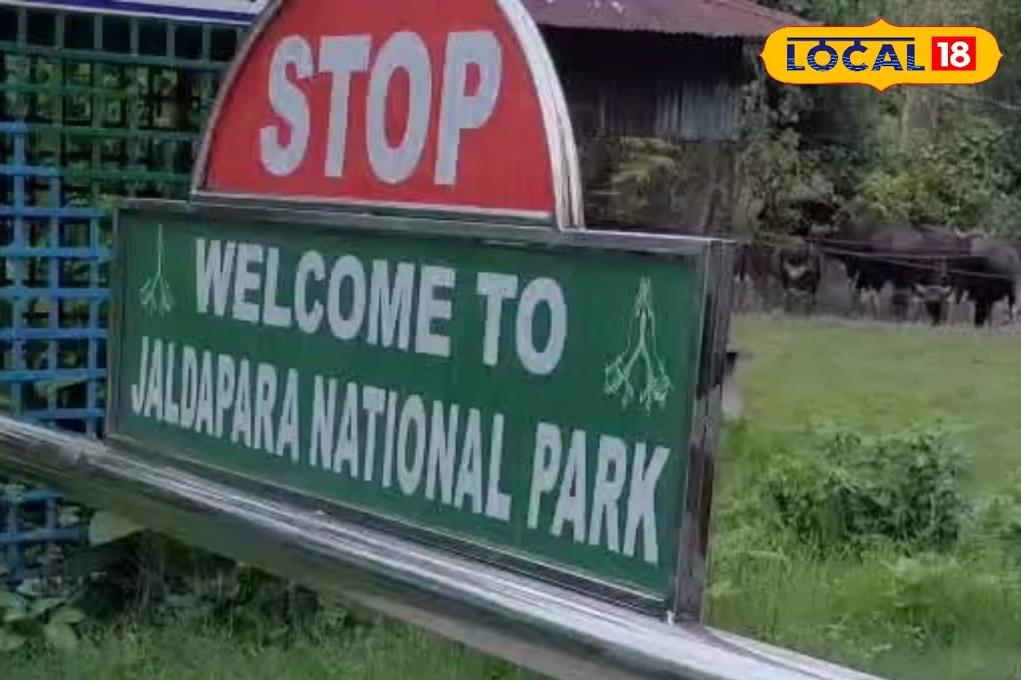 চোরাশিকারীদের মাথায় বাজ, জঙ্গলের প্রতিটি নড়াচড়া এবার নজরে! ট্র্যাপ ক্যামেরায় বড় আপগ্রেড