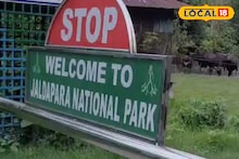 Alipurduar News: চোরাশিকারীদের মাথায় বাজ, জঙ্গলের প্রতিটি নড়াচড়া এবার নজরে! ট্র্যাপ ক্যামেরা নেটওয়ার্কে জলদাপাড়ায় বড় আপগ্রেড