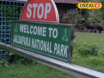 জলদাপাড়ার