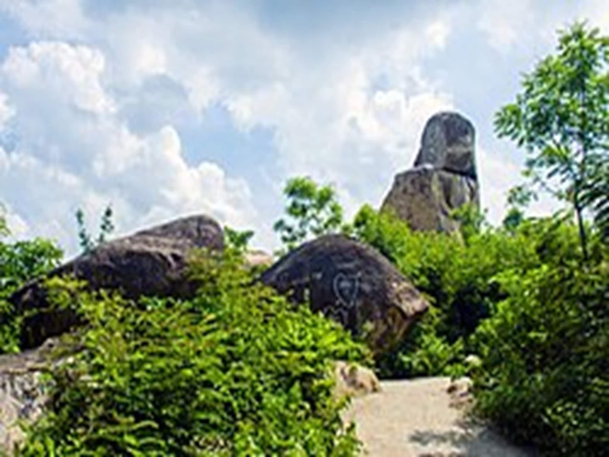 বড়সড় বিপদে মামা-ভাগ্নে পাহাড়, দিন দিন খারাপ হচ্ছে পরিস্থিতি! দেখুন