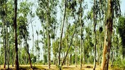 প্রতীকী চিত্র