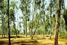 TMC Leader: শান্তিনিকেতনে প্রাক্তন তৃণমূল বুথ সভাপতির রহস্যজনক মৃ*ত্যু, ভয়ঙ্কর অভিযোগ তুলল পরিবার