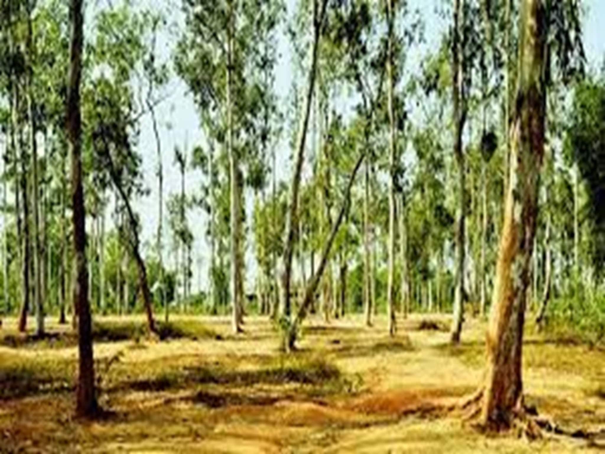 শান্তিনিকেতনে প্রাক্তন তৃণমূল বুথ সভাপতির রহস্যজনক মৃ*ত্যু, ভয়ঙ্কর অভিযোগ তুলল পরিবার শান্তিনিকেতনে প্রাক্তন তৃণমূল বুথ সভাপতির রহস্যজনক মৃ*ত্যু, ভয়ঙ্কর অভিযোগ তুলল পরিবার