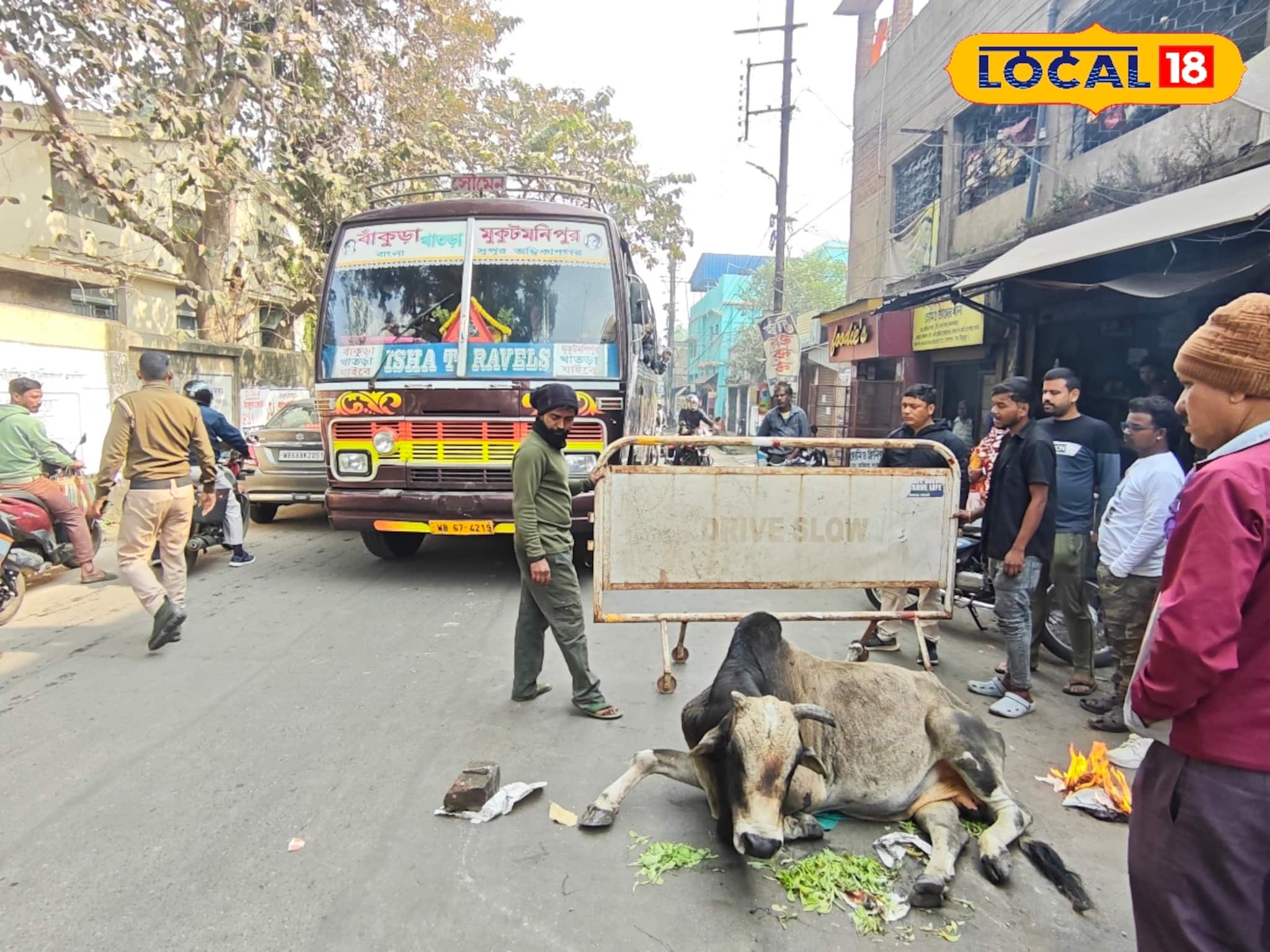 মাঝরাস্তায় হাঁফাতে হাঁফাতে বসে পড়ল বুড়ো ষাঁড়, পাশে দাঁড়িয়ে ট্রাফিক ওসির আদর-যত্ন মাঝরাস্তায় হাঁফাতে হাঁফাতে বসে পড়ল বুড়ো ষাঁড়, পাশে দাঁড়িয়ে ট্রাফিক ওসির আদর-যত্ন