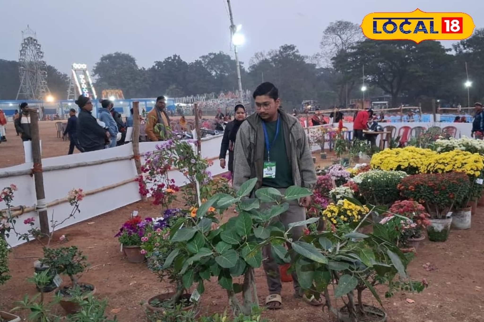 বড় গাছ ছোট রূপে! হরেকরকম বাইসাইয়ের বড় চমক সিউড়ির মেলায়, দাম শুনলে চোখ কপালে উঠবে