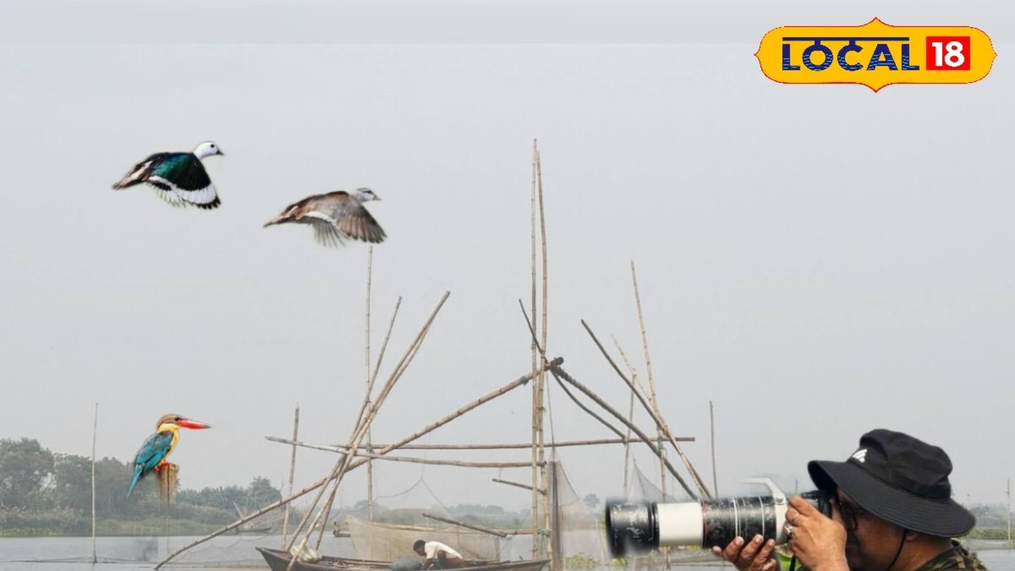 গপগপ করে গিলে খাচ্ছে ৮০০ গ্রামের মাছ! বর্ধমানে আকর্ষণের কেন্দ্রবিন্দু বিশেষ পাখি