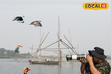 Migratory Birds: গপগপ করে গিলে খাচ্ছে ৮০০ গ্রামের মাছ! আকর্ষণের কেন্দ্রবিন্দু বিশেষ পাখি, ছবি তুলতে বর্ধমানে ছুটে আসছেন কলকাতার চিত্রগ্রাহকরাও