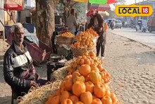 Bhutan Orange Price: হুড়মুড়িয়ে দাম কমল ভুটানের কমলালেবুর, স্বাদে লাজবাব! তবে কেনার আগে জাত চিনতে জানতে এইসব জিনিস