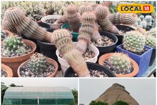 Business Idea: জয়চণ্ডীতে যুবকদের দুর্দান্ত 'বিজনেস আইডিয়া'! ক্যাকটাস চাষে করছেন অঢেল লাভ, দেখতে ছুটে আসছেন পর্যটকরাও