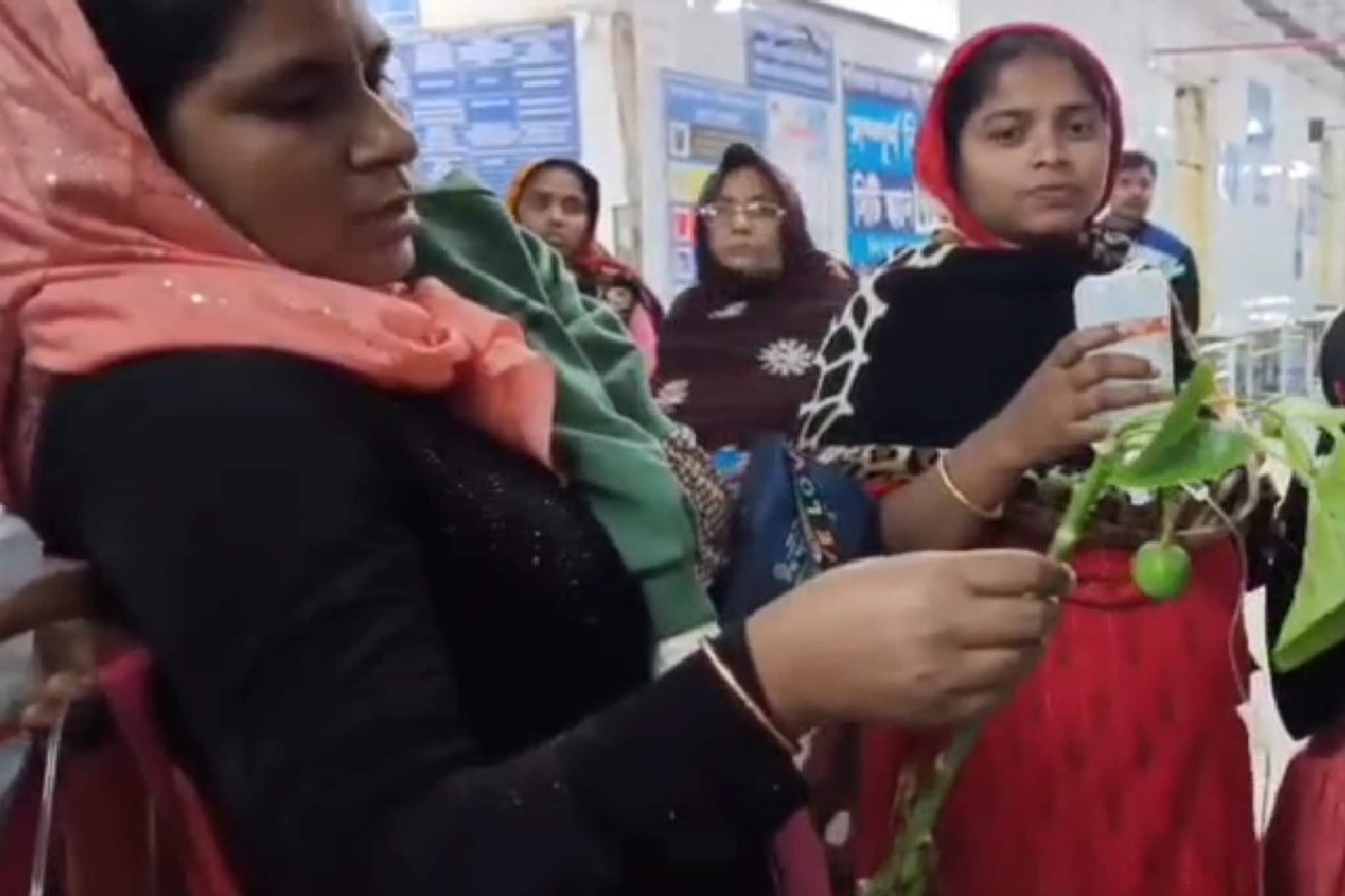 বাদাম ভেবে বিষ ফল খেতেই বমি, পেট ব্যাথা! বলদেবপুরে সাংঘাতিক কাণ্ড, হাসপাতালে ভর্তি ১১ শিশু বাদাম ভেবে বিষ ফল খেতেই বমি, পেট ব্যাথা! বলদেবপুরে সাংঘাতিক কাণ্ড, হাসপাতালে ভর্তি ১১ শিশু