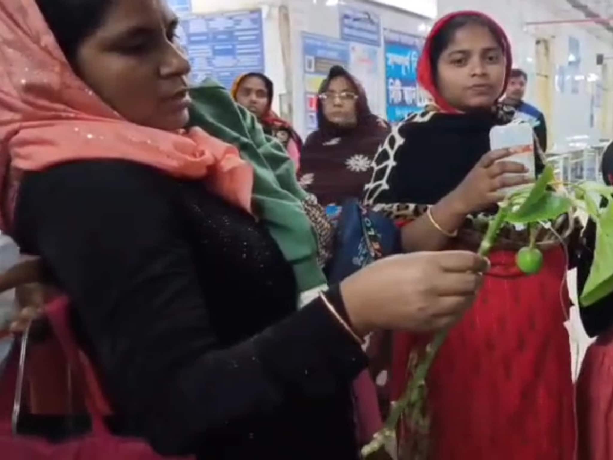 বাদাম ভেবে বিষ ফল খেতেই বমি, পেট ব্যাথা! বলদেবপুরে সাংঘাতিক কাণ্ড, হাসপাতালে ভর্তি ১১ শিশু বাদাম ভেবে বিষ ফল খেতেই বমি, পেট ব্যাথা! বলদেবপুরে সাংঘাতিক কাণ্ড, হাসপাতালে ভর্তি ১১ শিশু