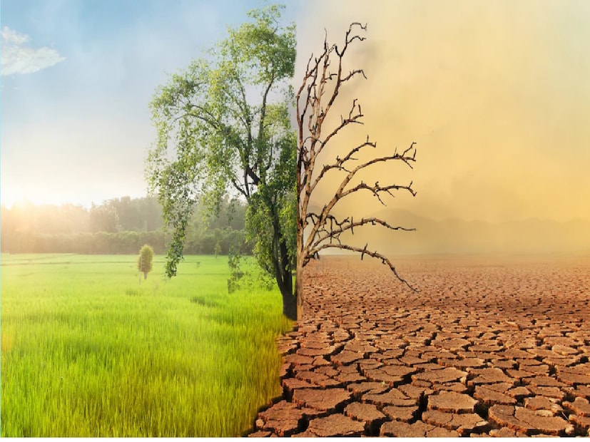 জলবায়ু পরিবর্তনবাবা ভাঙ্গা ২০২৬ সালে একটি বড় অর্থনৈতিক মন্দার পূর্বাভাস দিয়েছিলেন বলে জানা গেছে। এর মধ্যে মুদ্রা ব্যবস্থার পতন, ব্যাংকিং ব্যর্থতা, বাজারের পতন এবং উচ্চ মুদ্রাস্ফীতি অন্তর্ভুক্ত থাকতে পারে। তার ভবিষ্যদ্বাণীগুলি জলবায়ু পরিবর্তনের বড় ধরনের বিপর্যয়কেও তুলে ধরে। তিনি ভয়াবহ বন্যা, খরা এবং চরম আবহাওয়ার বিষয়ে সতর্ক করে বলেছেন, যা বিশ্বব্যাপী বাস্তুতন্ত্রের বিশাল অংশকে বদলে দেবে। বাবা ভাঙ্গা ২০২৬ সালে বন্যা, খরা এবং অন্যান্য চরম আবহাওয়ার মতো অভূতপূর্ব জলবায়ু পরিবর্তনের বিষয়ে সতর্ক করেছেন যা বাস্তুতন্ত্রকে বদলে দিতে পারে। Photo- Representative