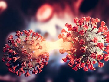 আজ থেকে ৬ বছর আগের ৩১ ডিসেম্বর ছিল মারাত্মক ভয়ের! তার তিন মাসের মধ্যে বদলে গেল পৃথিবী!