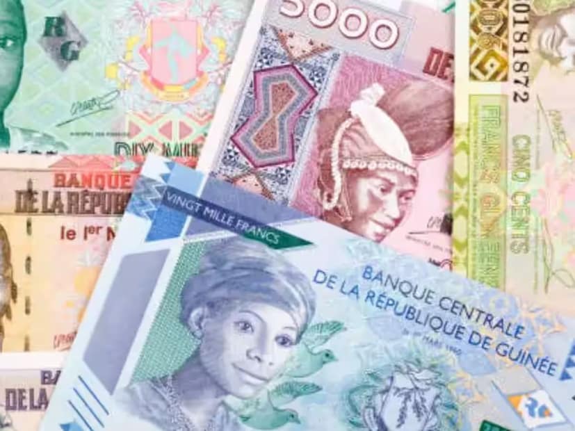 গিনি, আফ্রিকা:বক্সাইট এবং লৌহ আকরিকের মতো মূল্যবান খনিজ পদার্থে সমৃদ্ধ একটি আফ্রিকান দেশ হল গিনি। তবে এত খনিজ সম্ভার থাকা সত্ত্বেও এই দেশটির মুদ্রা, গিনি ফ্রাঙ্ক, অত্যন্ত দুর্বল। মনে করা হয় যে আজকের দিনে মাত্র ১ ভারতীয় টাকা প্রায় ১০০ গিনি ফ্রাঙ্কের সমান। এর প্রধান কারণ দেশটির চলতি রাজনৈতিক অস্থিতিশীলতা এবং শক্তিশালী পরিকাঠামোর অভাব।