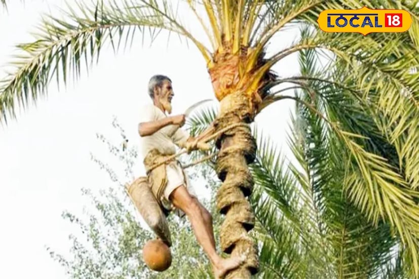 খেজুরের রসে থাকে প্রচুর পরিমাণ আয়রন, ফলে রক্তাল্পতা দূর করতেও ভীষণ ভাবে সাহায্য করে। তবে অ্যানিমিয়ার সমস্যা থাকলে প্রতিদিন এক টুকরো পাটালি গুড় বা ঝোলা গুড় খেলে খুব ভাল কাজ হয়। 