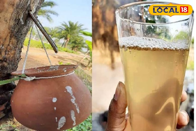 চিকিৎসক মঞ্জু ছেত্রী বলেন ,খেজুরের রস হল প্রাকৃতিক এনার্জি ড্রিংক। খেজুরের রসে থাকে প্রচুর পরিমাণ শর্করা, সেই সঙ্গে রয়েছে জলও। ফলে একগ্লাস রস খেলে যেমন শরীরে জলের চাহিদা পূরণ হয় তেমনই শরীরে খনিজের মধ্যেও ভারসাম্য বজায় থাকে। একই সঙ্গে খেজুরের রসে থাকে প্রচুর পরিমাণ ম্যাগনেশিয়াম। যা শরীরের ক্লান্তি দূর করে। খেজুর রস শরীর আর মনও চনমনে রাখে।