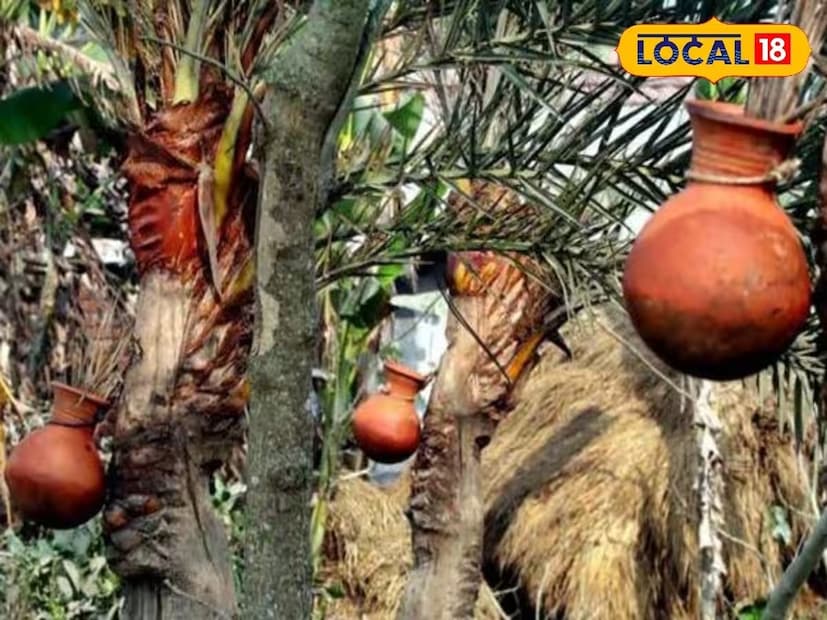 শীতকালে খেজুরের রস আর গুড় সর্বত্রগামী। অনেকেই মনে করেন, চিনির স্বাস্থ্যকর বিকল্প হল গুড়, শীতকালের ডায়েটে খেজুরের গুড় ও রস খাওয়া স্বাস্থ্যকর। পুষ্টিবিদদের মতে, আয়রন, ভিটামিন সি, প্রোটিন, পটাশিয়াম, ম্যাগনেশিয়ামের মতো অত্যন্ত গুরুত্বপূর্ণ খনিজে সমৃদ্ধ গুড়। তাই শরীরে খনিজের ঘাটতি পূরণ করতে পরিমিত পরিমাণে গুড় খাওয়াই যায়। তবে খেজুর গুড় না কি খেজুরের রস, কোনটি বেশি স্বাস্থ্যকর?