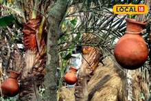 Date Juice Benefits: শীতকালে এক গ্লাস খেজুরের রস খান! বহু জটিল রোগ ম্যাজিকের মতো দূর হবে! জানুন