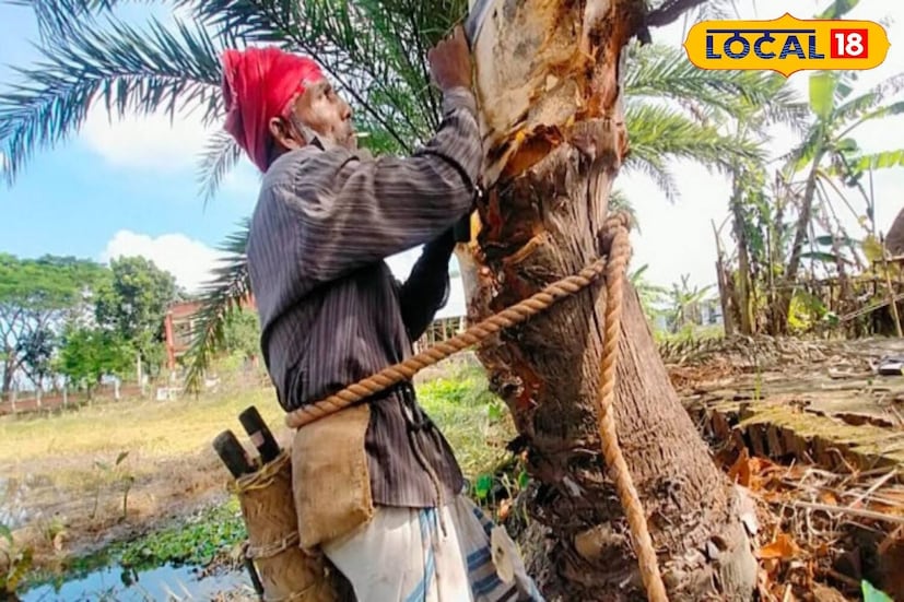 খেজুরের রসের মধ্যে থাকা ক্যালশিয়াম হাড় শক্ত করতে সাহায্য করে। খেজুরের রসের মধ্যে থাকে প্রচুর পরিমাণ পটাশিয়াম। যা বিপাক ক্রিয়া বাড়ায়। যার ফলে শরীরে বাড়তি চর্বিও জমে না।