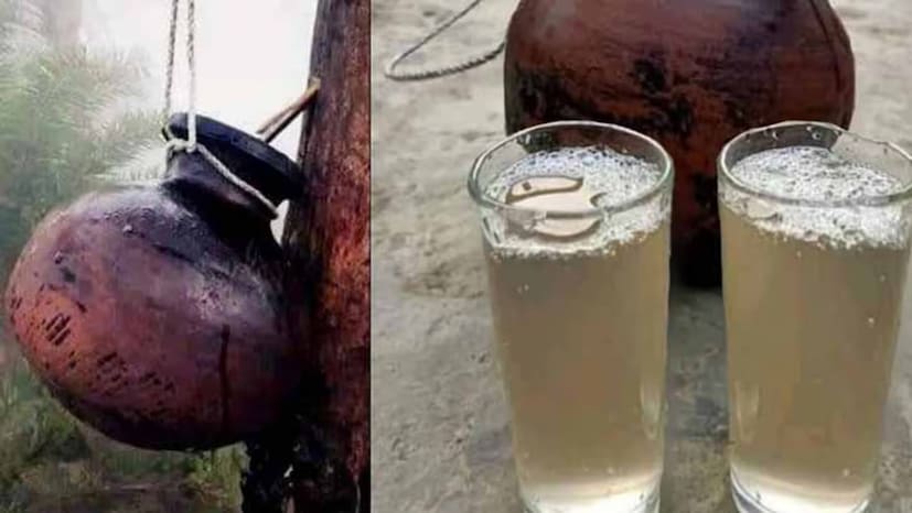 খেজুরের রসে প্রচুর পরিমাণ পুষ্টি উপাদান রয়েছে। থাকে বিভিন্ন রকম প্রোটিন, খনিজ, ভিটামিন, আয়রন, ফ্রুকটোজ, গ্লুকোজ, সোডিয়াম আর পটাশিয়াম। যে কারণে নিয়মিত ভাবে খেজুরের রস খেতে পারলে তা শরীরের জন্য খুব ভাল।