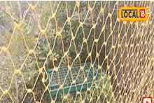 Patharpratima Tiger Panic: পাথরপ্রতিমায় এখনও অধরা বাঘ, ৪ দিন কেটে গেলেও বাঘ ধরা যায়নি