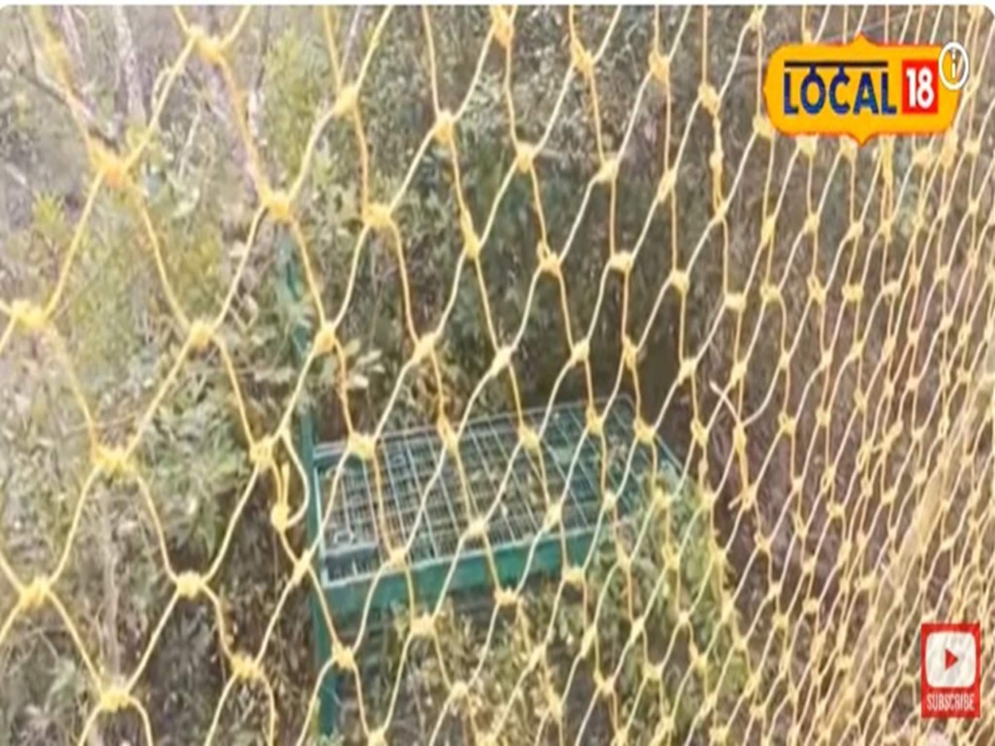 Patharpratima Tiger Panic: পাথরপ্রতিমায় এখনও অধরা বাঘ, ৪ দিন কেটে গেলেও বাঘ ধরা যায়নি