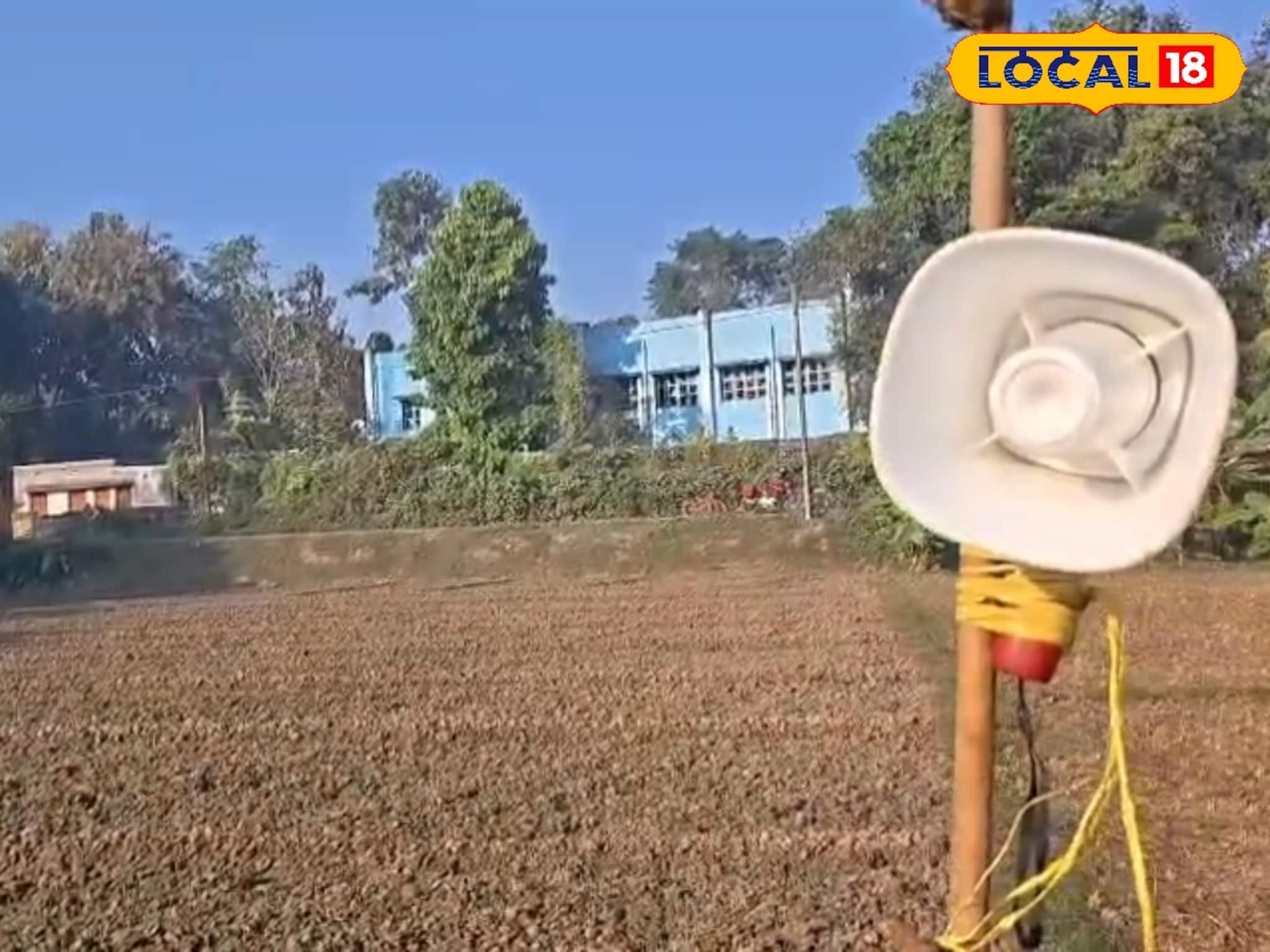 Agriculture News: মুর্শিদাবাদের ডিজিটাল চাষি! পাখি তাড়াতে বের করলেন অভিনব কৌশল, বুদ্ধির তারিফ করছেন সবাই