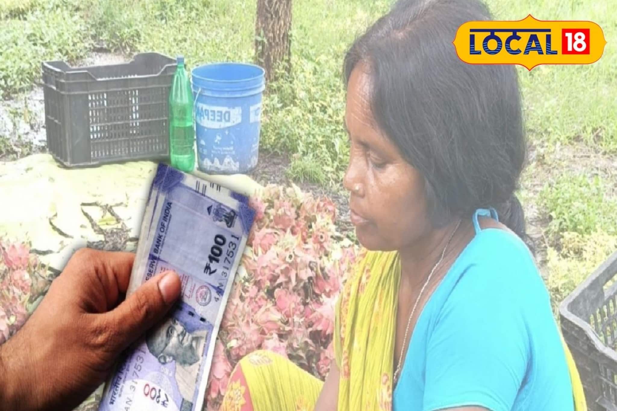 বিদেশি ফলের চাষ জীবন বদলাচ্ছে মহিলাদের! বাড়ছে আয়ের অঙ্ক, মন ভাল করা দৃশ্য পুরুলিয়ায় বিদেশি ফলের চাষ জীবন বদলাচ্ছে মহিলাদের! বাড়ছে আয়ের অঙ্ক, মন ভাল করা দৃশ্য পুরুলিয়ায়