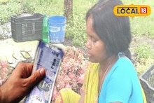 Dragon Fruit: বিদেশি ফলের চাষ জীবন বদলাচ্ছে মহিলাদের! বাড়ছে আয়ের অঙ্ক, মন ভাল করা দৃশ্য পুরুলিয়ায়