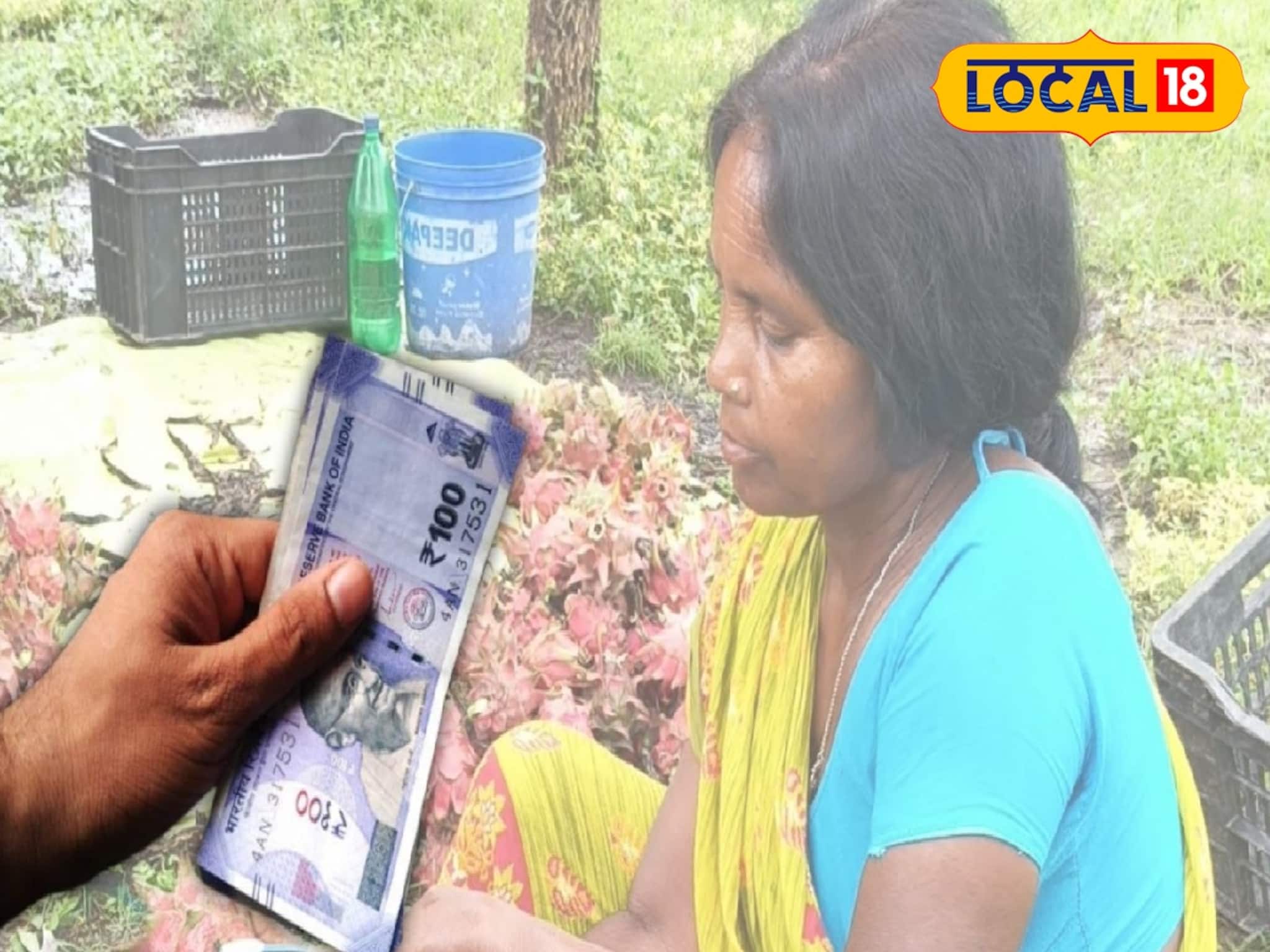 Dragon Fruit: বিদেশি ফলের চাষ জীবন বদলাচ্ছে মহিলাদের! বাড়ছে আয়ের অঙ্ক, মন ভাল করা দৃশ্য পুরুলিয়ায়