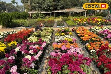 Floriculture News: শীতে বিপুল চাহিদা, সামান্য বিনিয়োগে অঢেল আয়! কৃষকদের ভাগ্য বদলের কারিগর ফুলের চারা